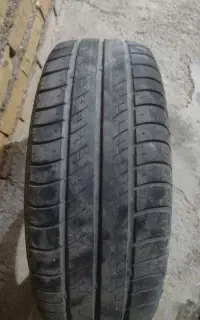 لاستیک ساینا