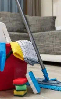 نظافت امور منزل و تمیزکار