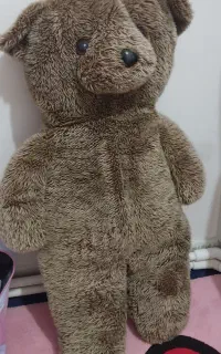 خرس بزرگ خارجی