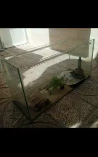 آکواریوم سالم