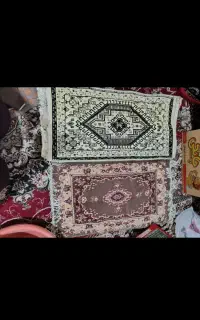 پادری نو نوحراجی