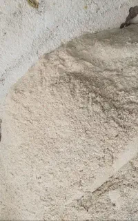 فروش خاک اره