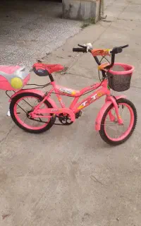 دوچرخه بچگانه