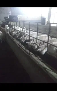 نیازمند کارگر ساده