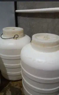 خسته دوغ گوسفندی