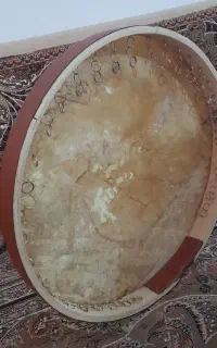یک عدف با جلد