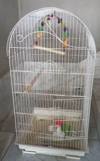 قفس پرنده