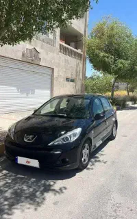 207 مدل 91