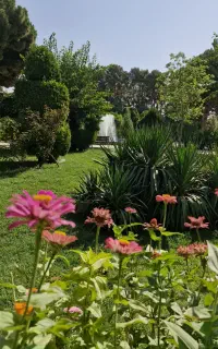 سرویس مدرسه