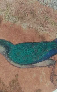 یوگا و مدیتیشن پرنده ی آبی (خصوصی و گروهی)