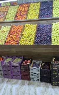 میوه سرای محمد رمکان