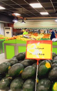 فروش پالت و یخچال روباز