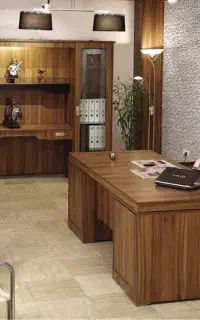 منشی خانم دستیار مدیر عامل
