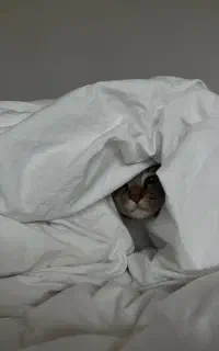 جویای کار هستم