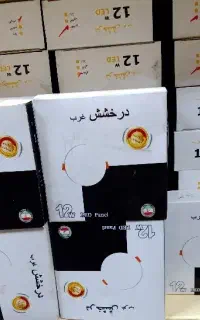 هالوژن بک لایت 7وات،9وات،12وات