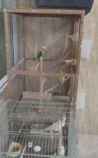 فروش قفسه