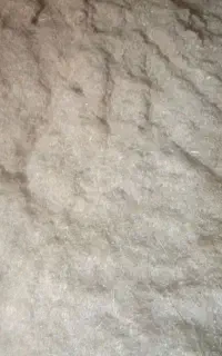 کاه گندم دیم