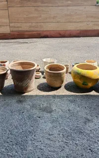 گلدان وزیر گلدانی