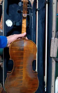ویولن دست ساز حرفه ای