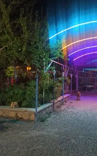 سرایدار و باغبان
