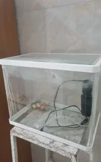 آکواریوم مینیمال به همراه وسایل