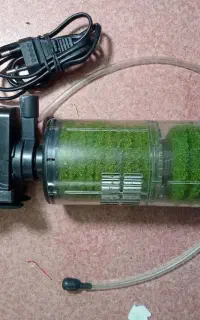 تصفیه آکواریوم