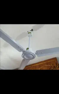 پنکه سقفی مورتور سنگین