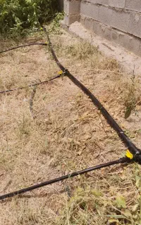 آبیاری قطره ای