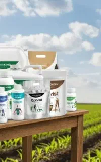 استخدام ادمین برای پشتیبانی فروش