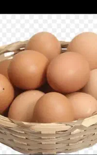 تخم مرغ  محلی  خوراکی و نطفه دار موجود است