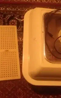 دستگاه جوجه کشی
