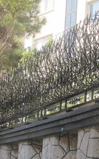 شاخ گوزنی  در ارتفاع و تراکم مختلف