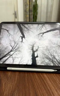 آیپد پرو ۲۰۲۲ یازده اینچ ۲۵۶ گیگ ipad pro