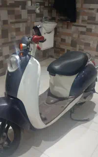 متور پاکشتی