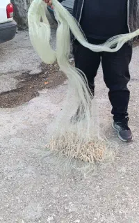 تور ماهیگیری