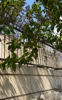 ۳۰ متر نرده به ارتفاع ۱۴۰ سانتی متر