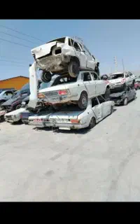 اسقاط
