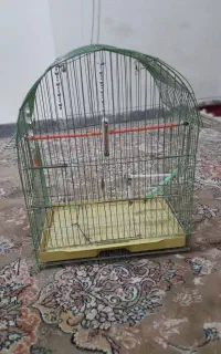 قفس