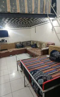 یک عددتخت