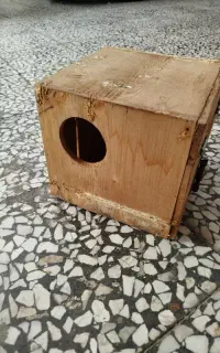 لونه پرنده