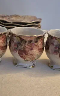 ظروف لمونژ
