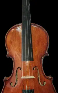 آموزش ، معاوضه ، فروش ویولن کارل هافنر AS160