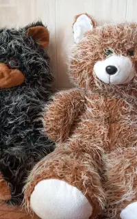 خرس