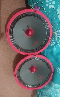 یه جفت میدرنج ۶ کیو اس