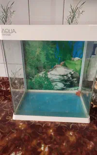آکواریوم