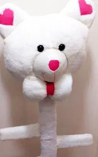 عروسک خرس پولیشی