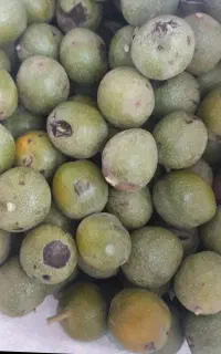 خریدوفروش