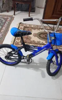 دوچرخه ۱۶درحدنو