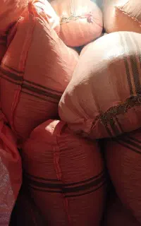 کاه قره دنه