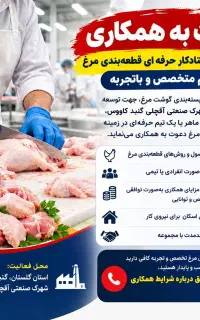 استخدام استادکار قطعه‌بندی مرغ یا تیم حرفه ای